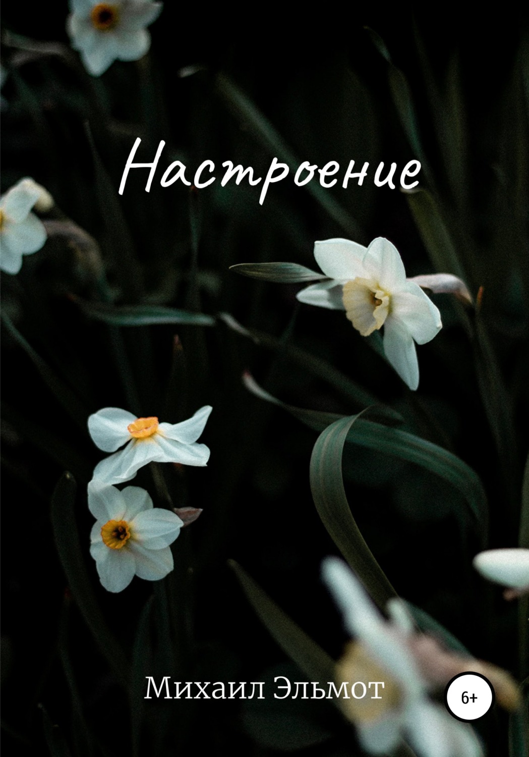 Обложка книги «Настроение»