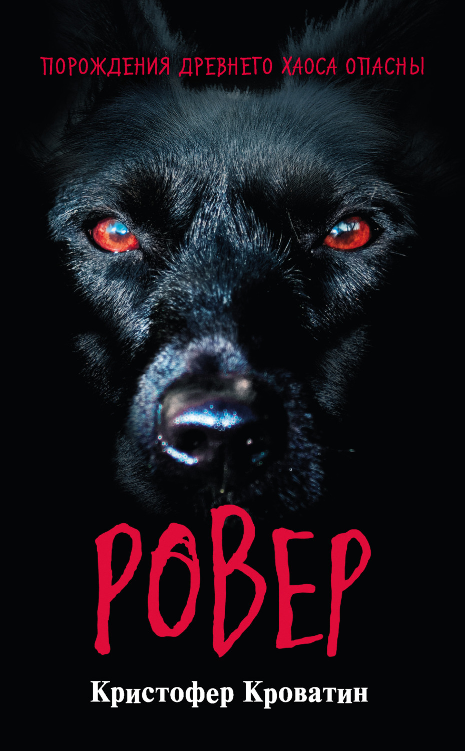 Обложка книги «Ровер»