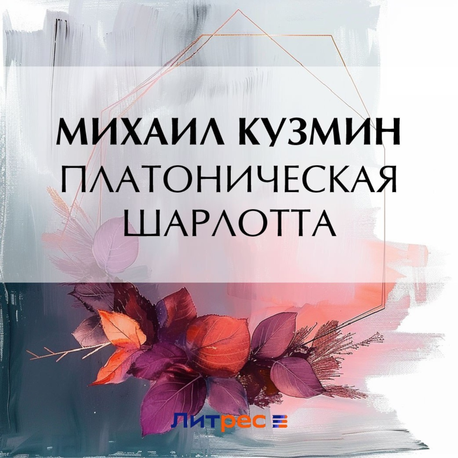 Обложка книги «Платоническая Шарлотта»