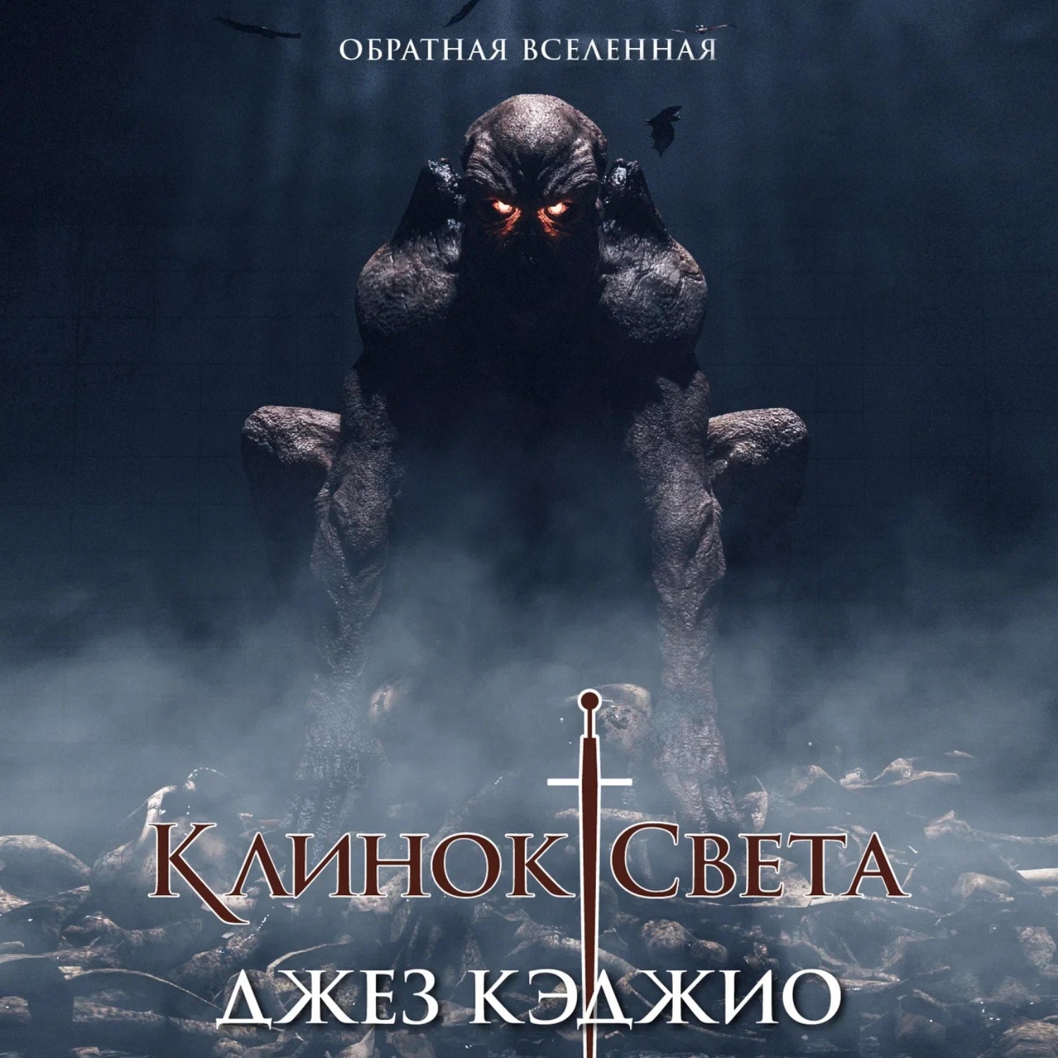 Обложка книги «Клинок света. Книга первая»