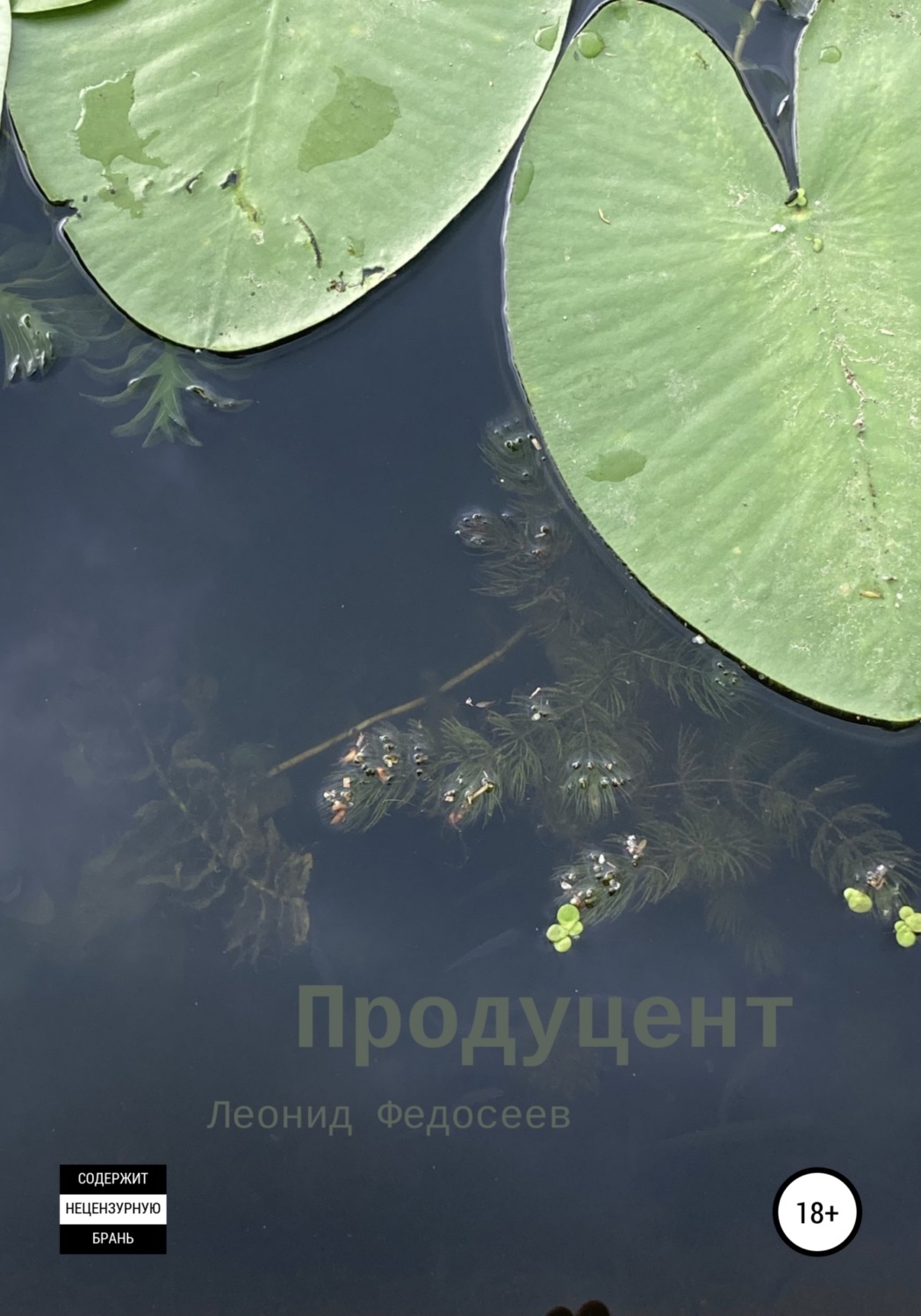 Обложка книги «Продуцент»