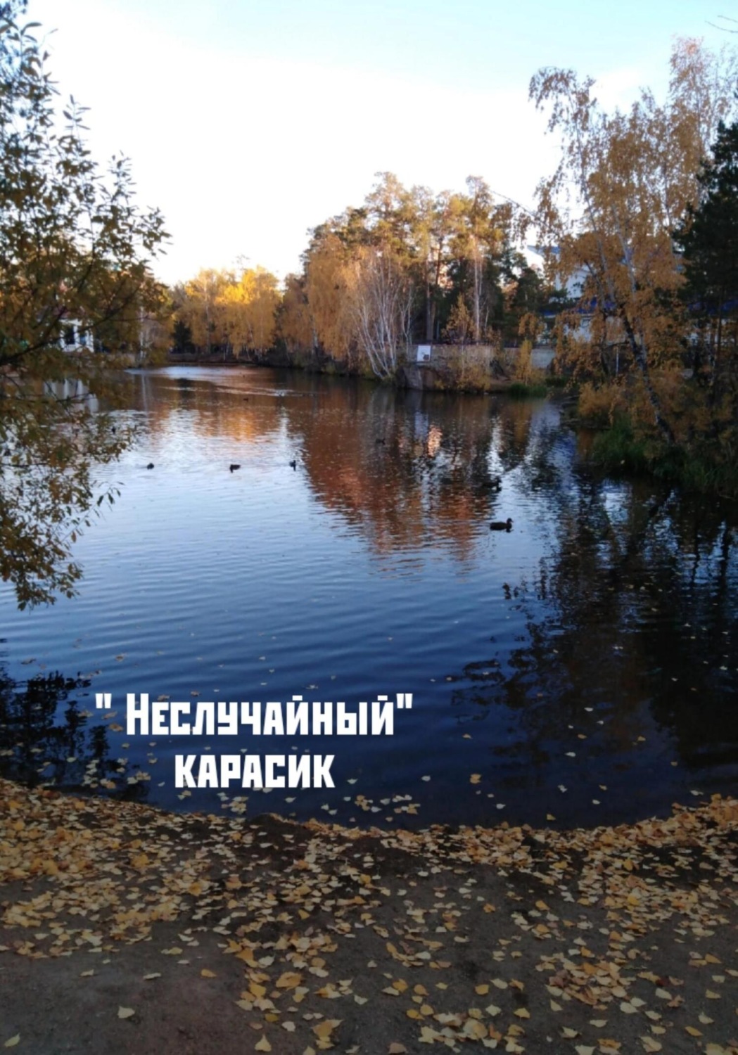 Обложка книги ««Неслучайный» карасик»