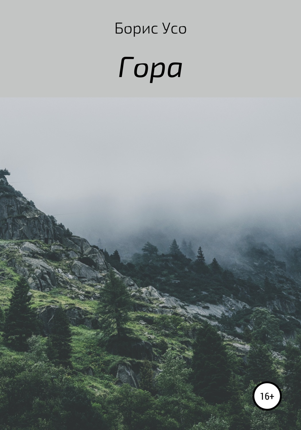 Обложка книги «Гора»