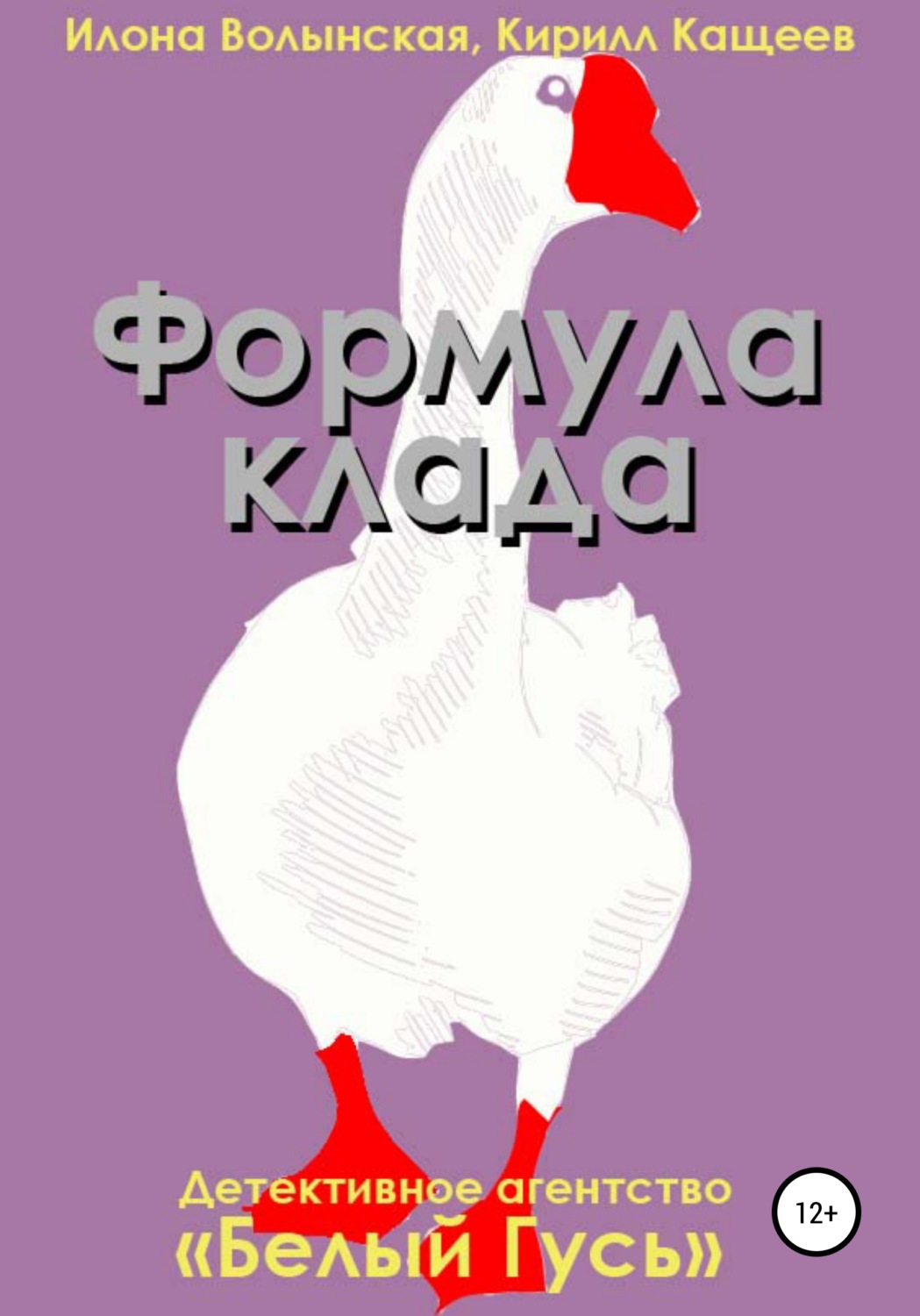 Обложка книги «Формула клада»