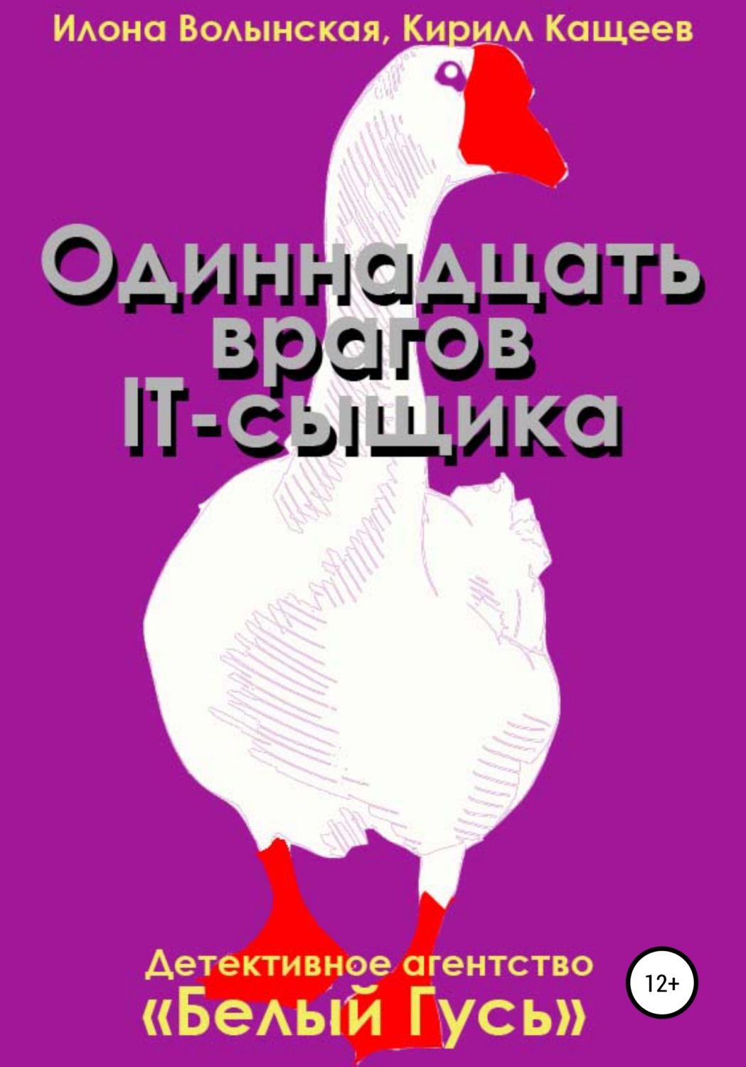 Обложка книги «Одиннадцать врагов IT-сыщика»