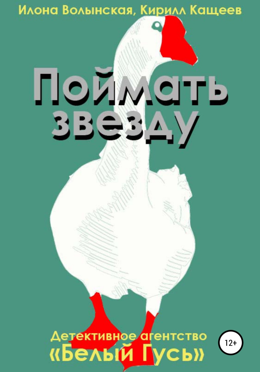 Обложка книги «Поймать звезду»