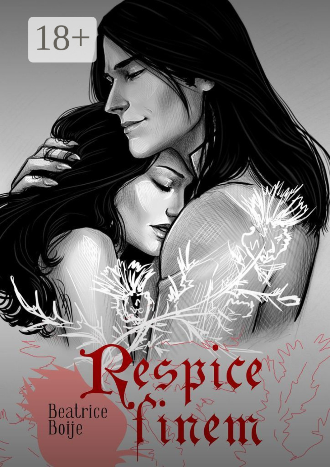 Обложка книги «Respice finem»