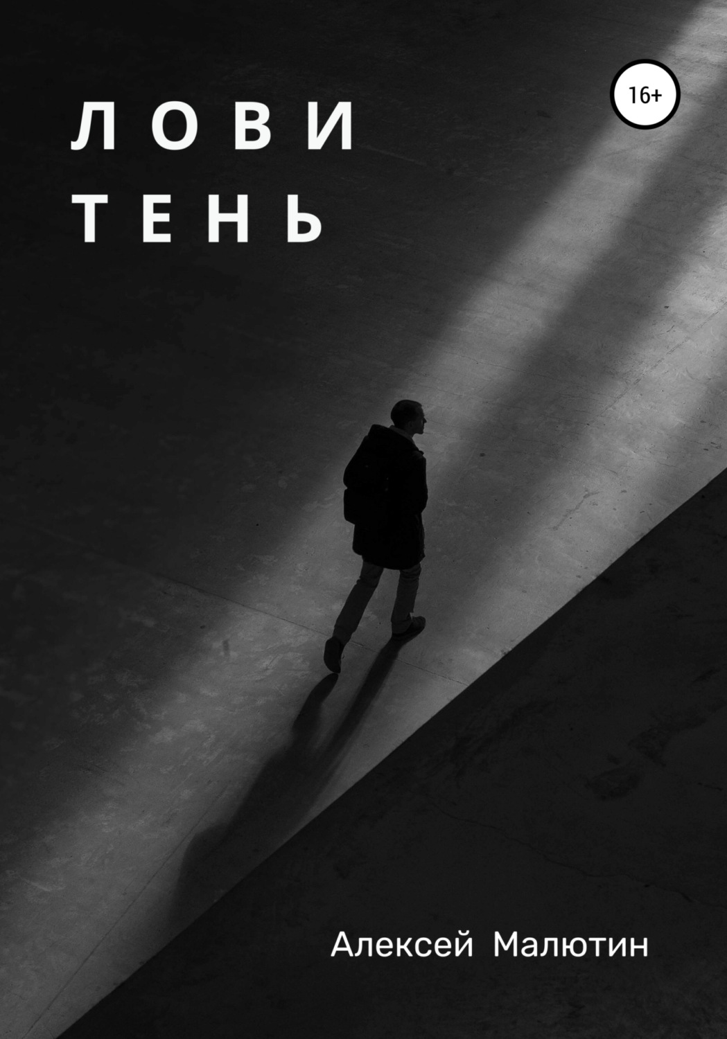 Обложка книги «Лови тень»