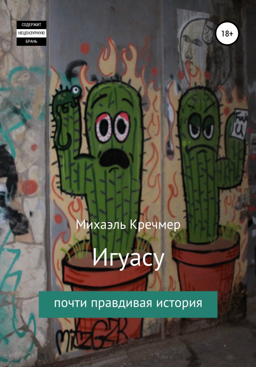 Обложка книги «Игуасу»