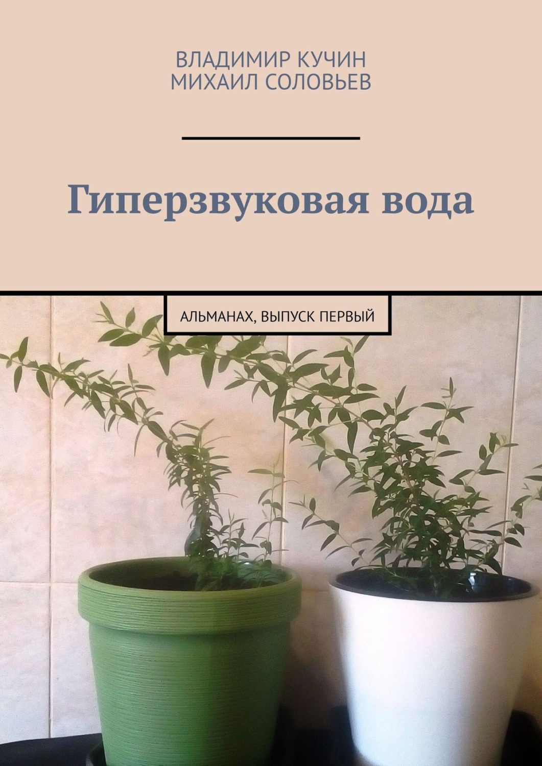 Обложка книги «Гиперзвуковая вода. Альманах. Выпуск 1»