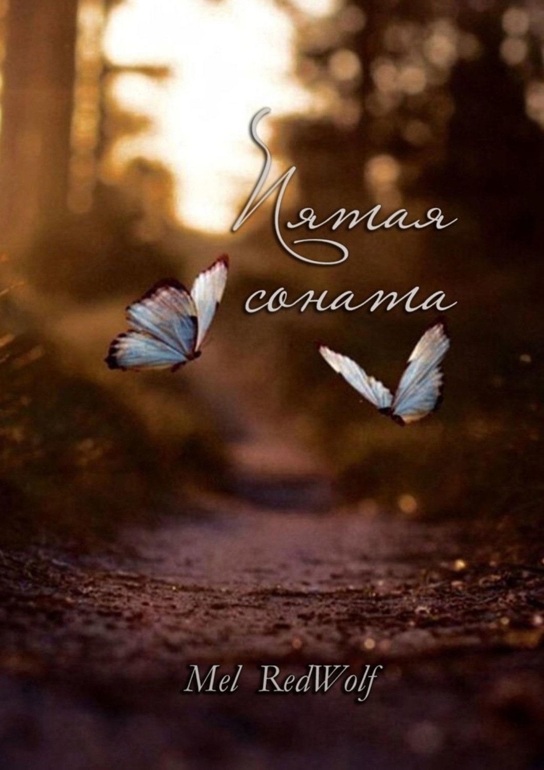 Обложка книги «Пятая соната»