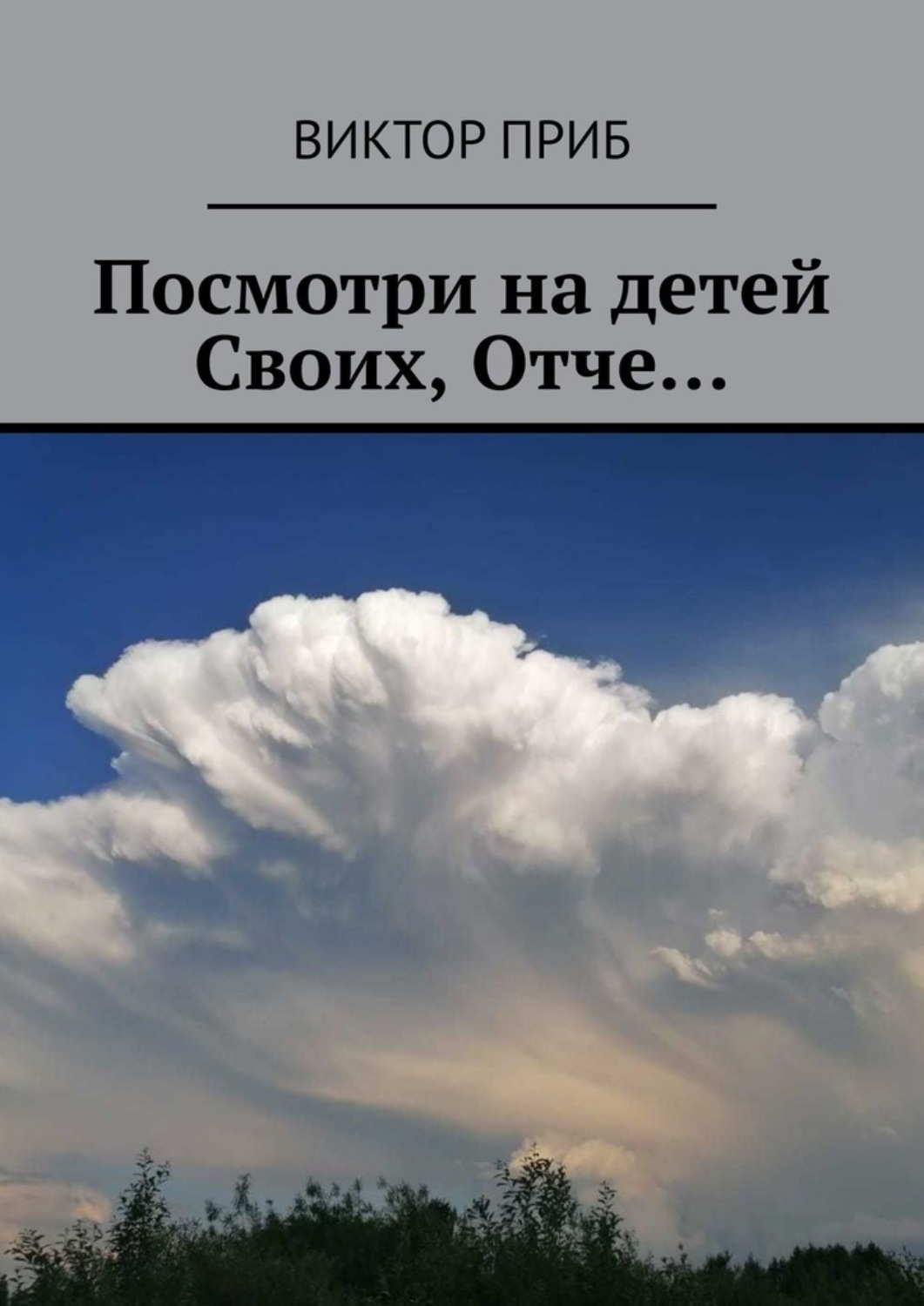 Обложка книги «Посмотри на детей Своих, Отче…»