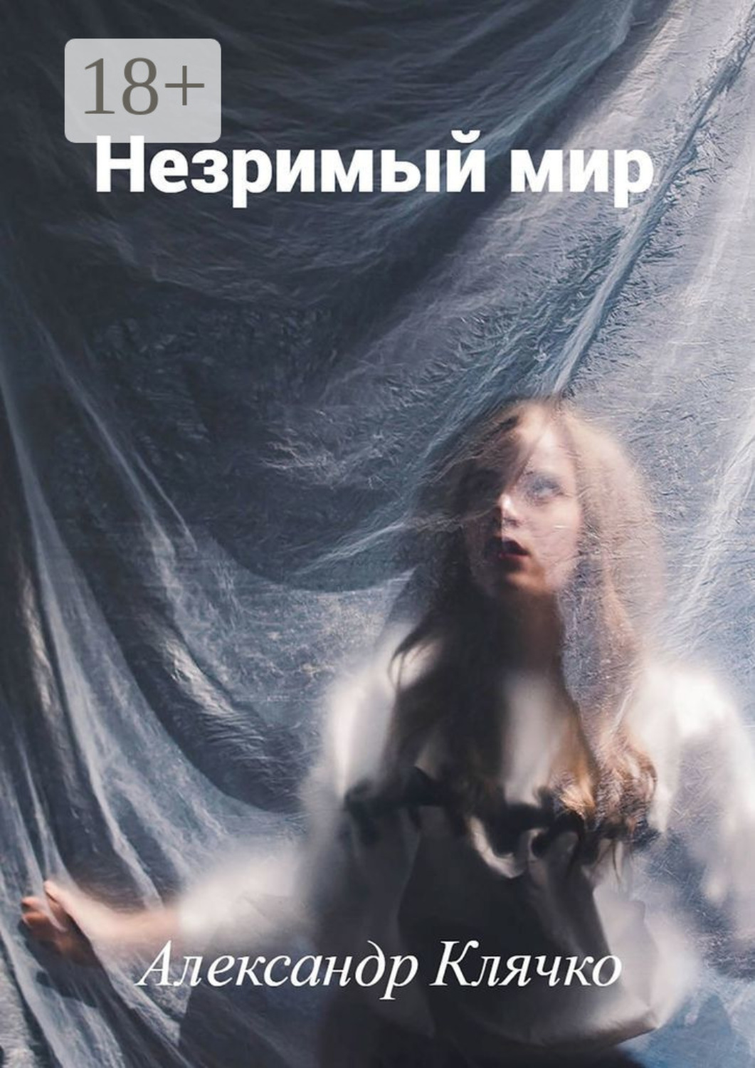 Обложка книги «Незримый мир. Или мистические истории»