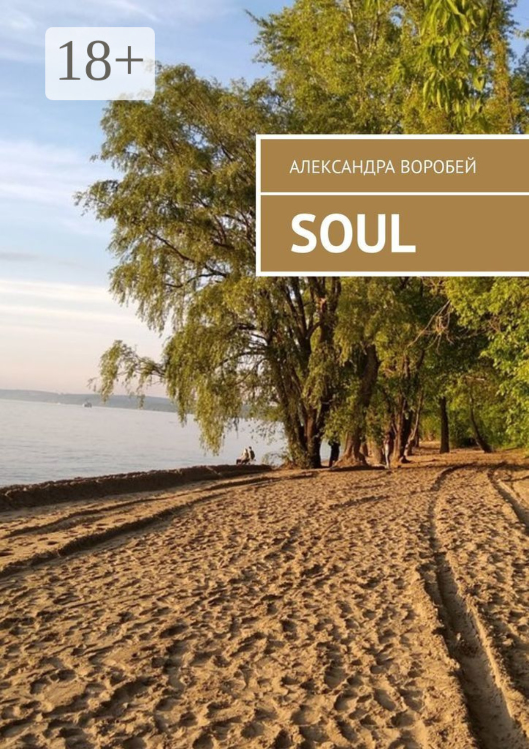 Обложка книги «Soul»