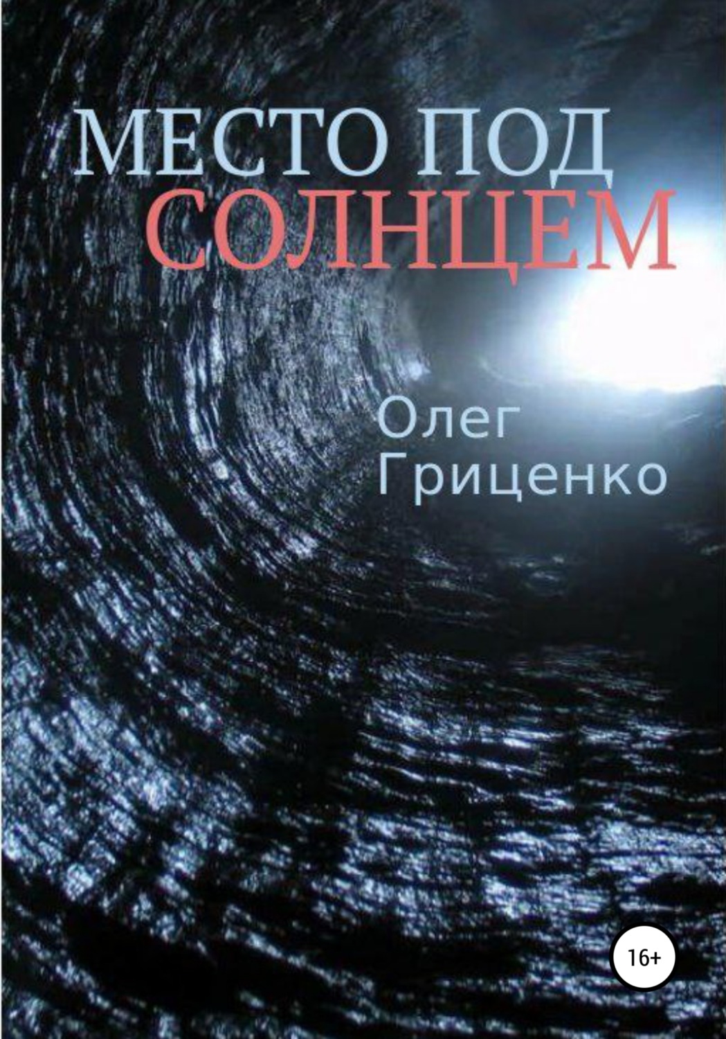 Обложка книги «Место под солнцем»
