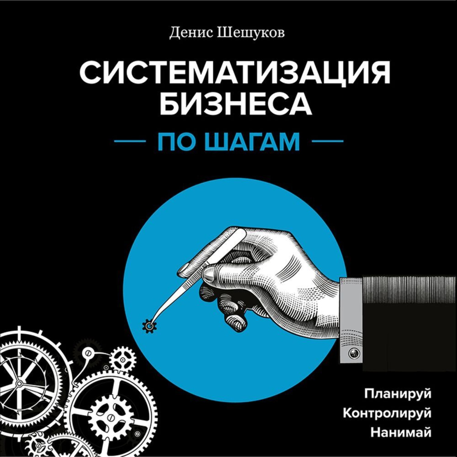 Обложка книги «Систематизация бизнеса по шагам. Планируй, контролируй, нанимай»