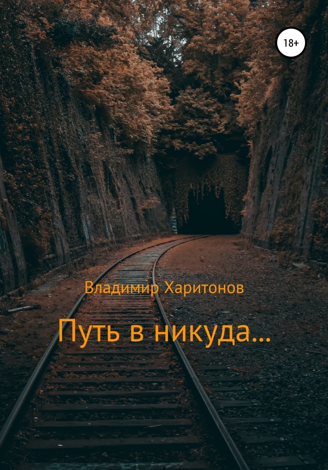 Обложка книги «Путь в никуда…»