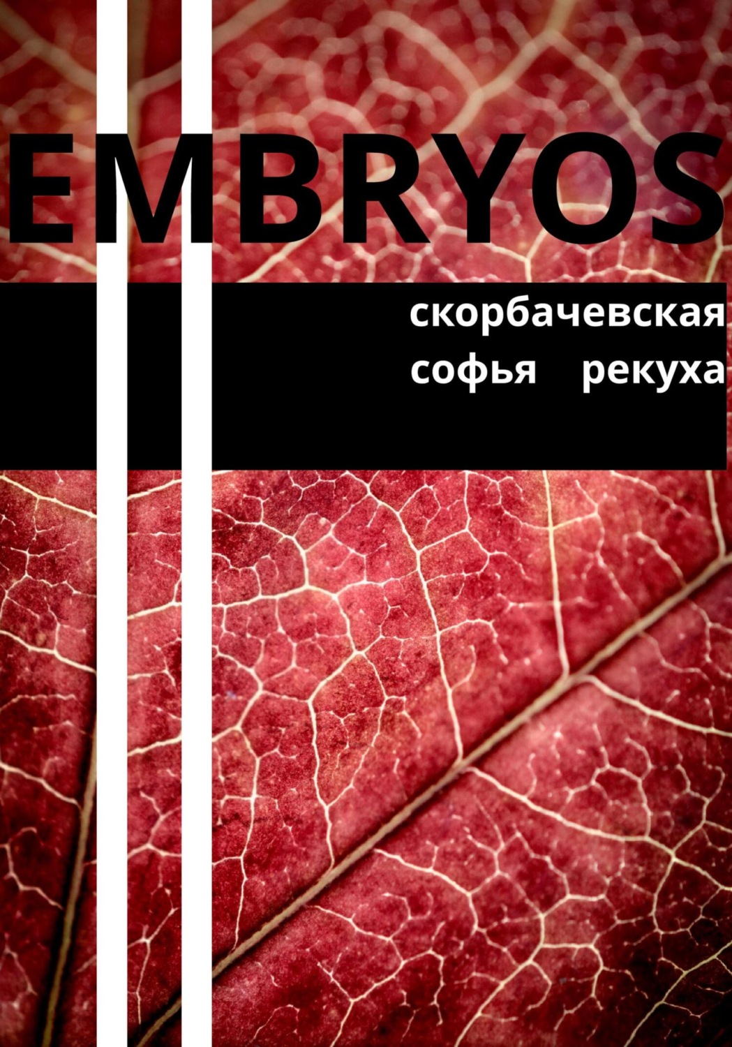 Обложка книги «Embryos»