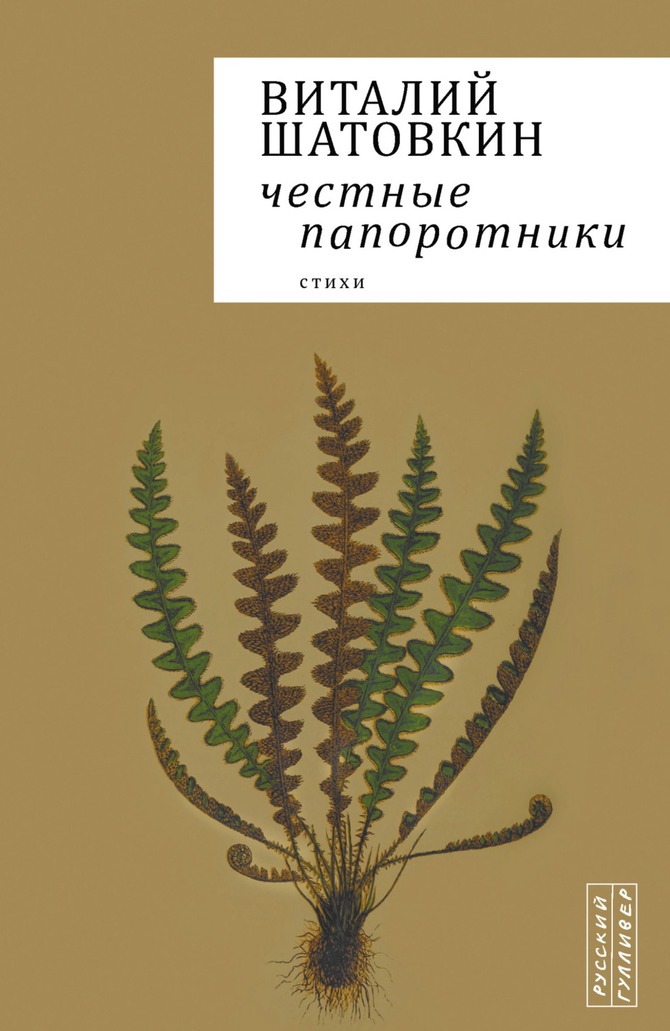 Обложка книги «Честные папоротники»