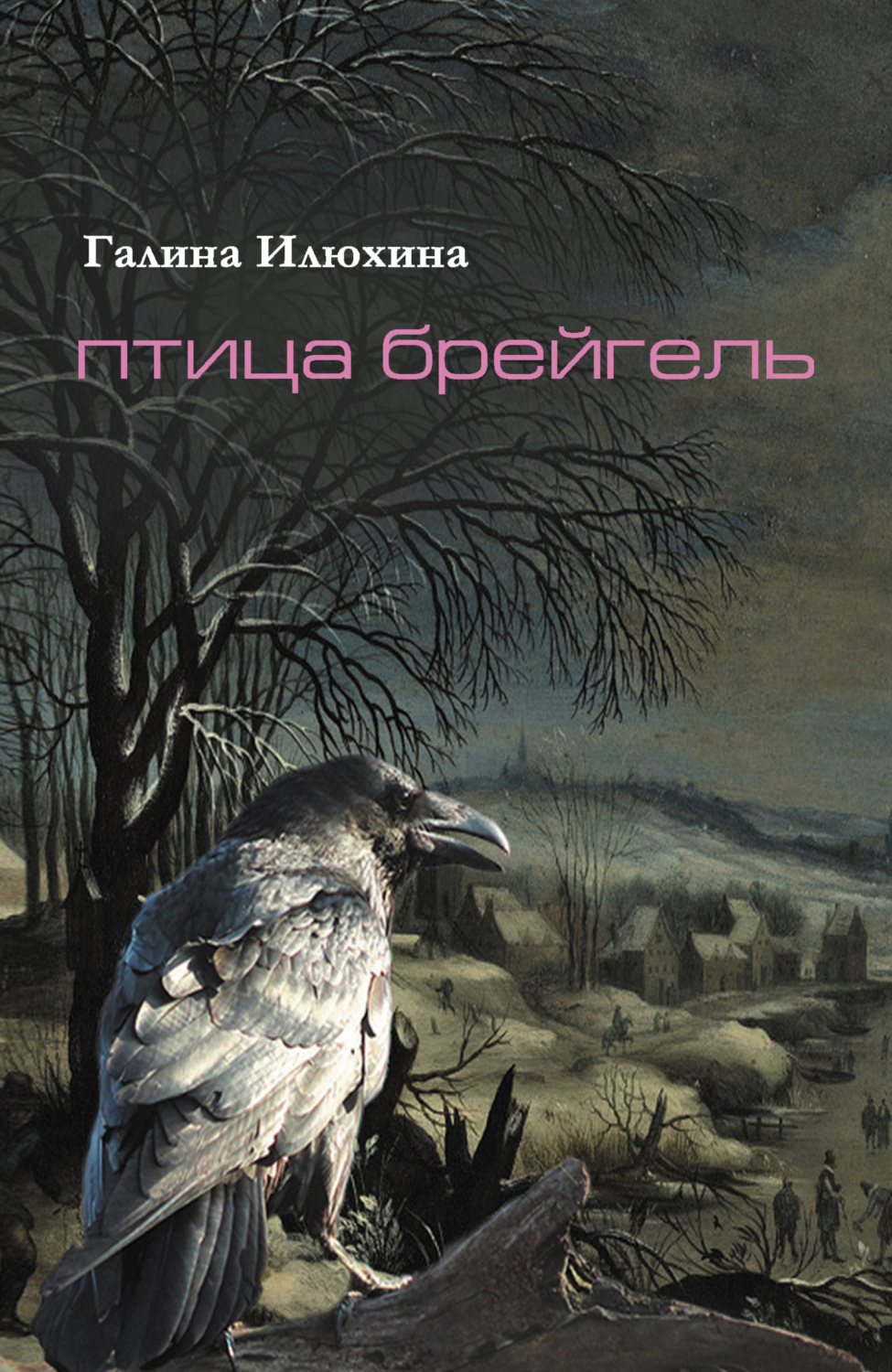 Обложка книги «Птица Брейгель»