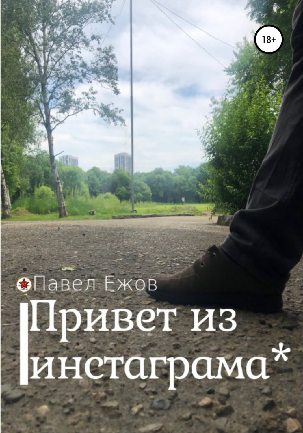 Обложка книги «Привет из инстаграма*»