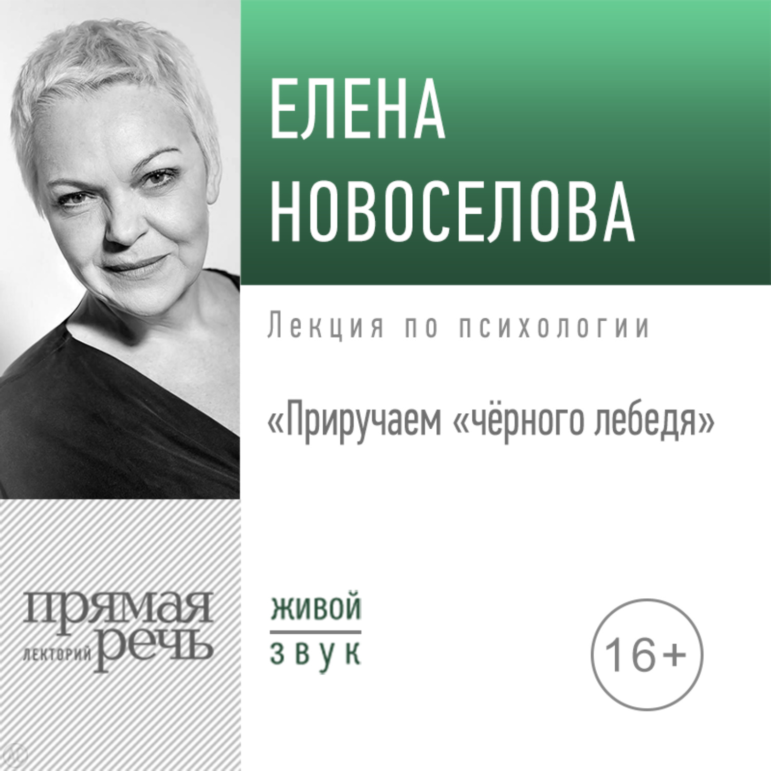 Обложка книги «Лекция «Приручаем „чёрного лебедя“»»