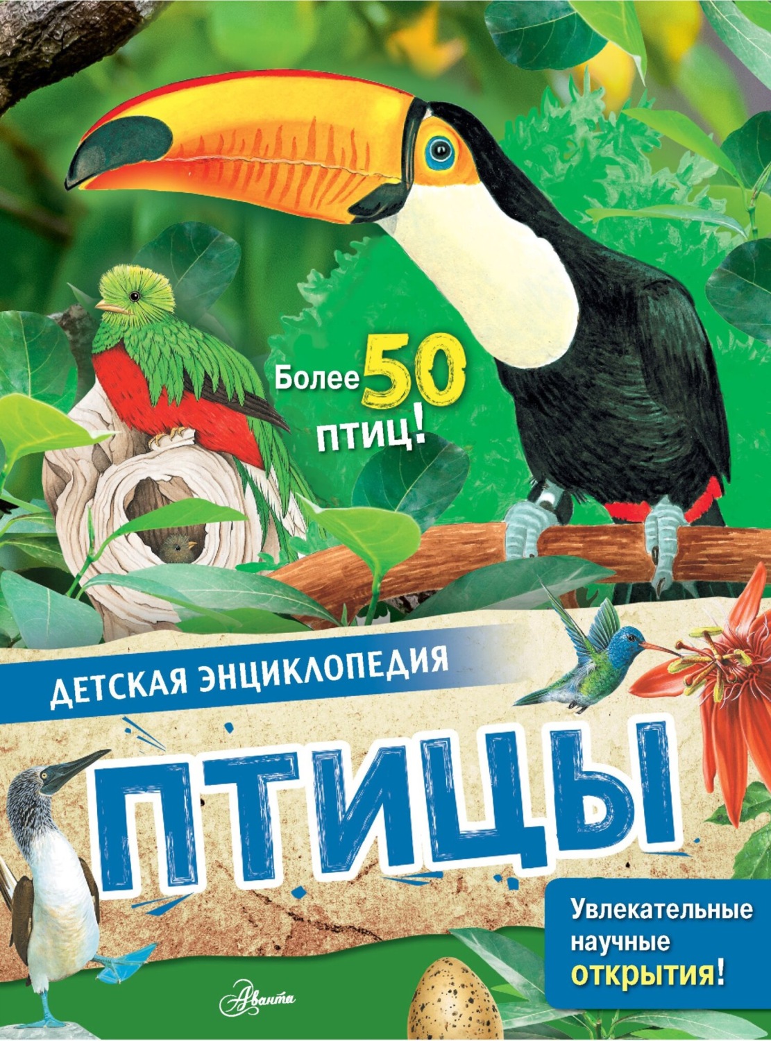 Обложка книги «Птицы»