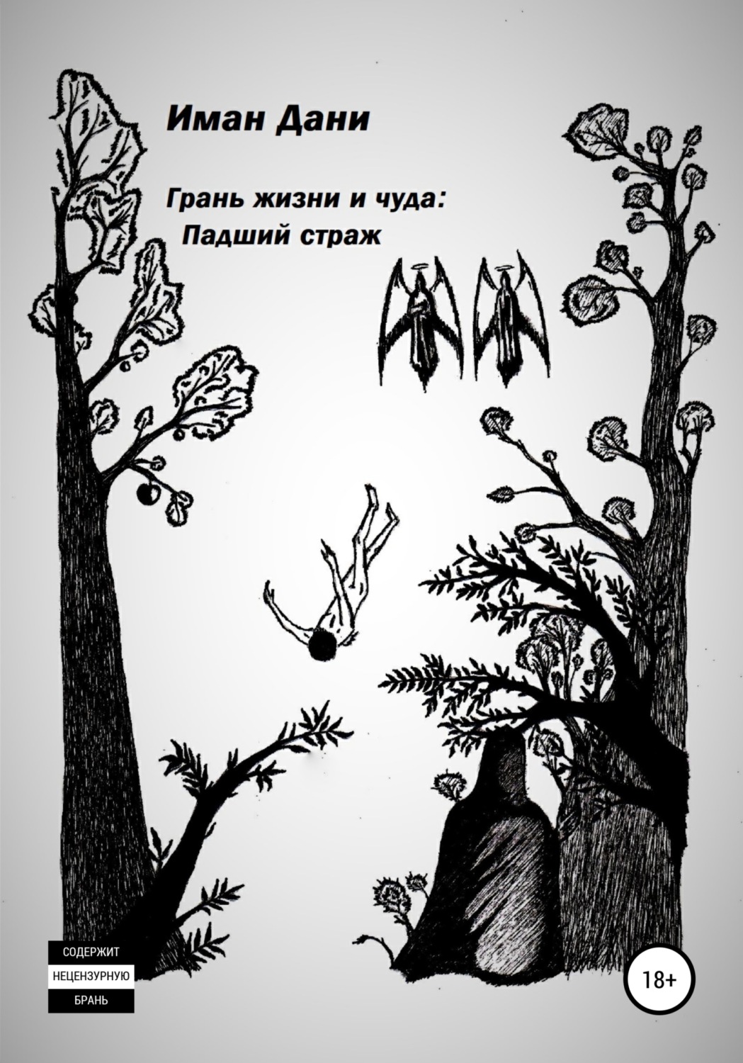Обложка книги «Грань жизни и чуда. Падший страж»