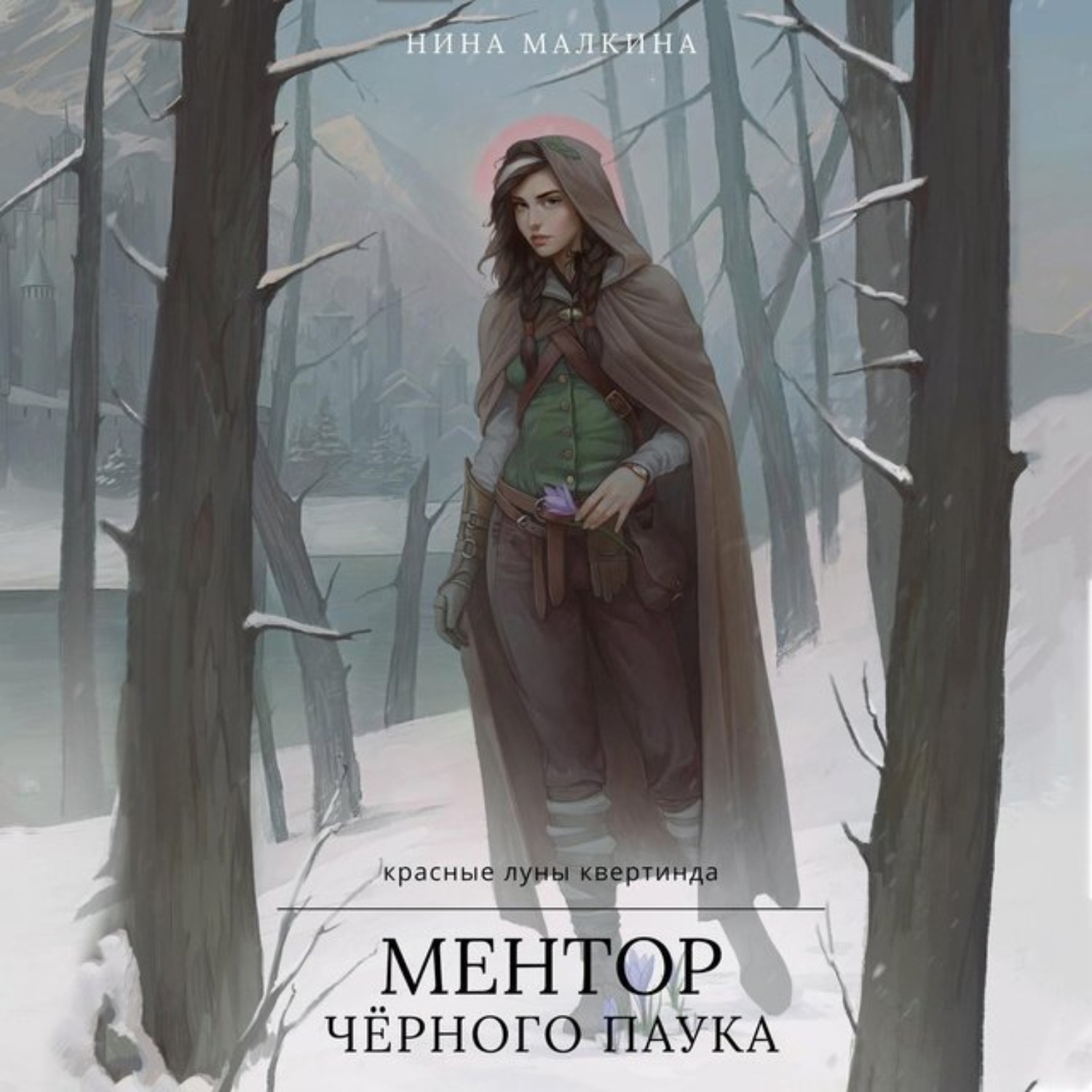 Обложка книги «Ментор черного паука»