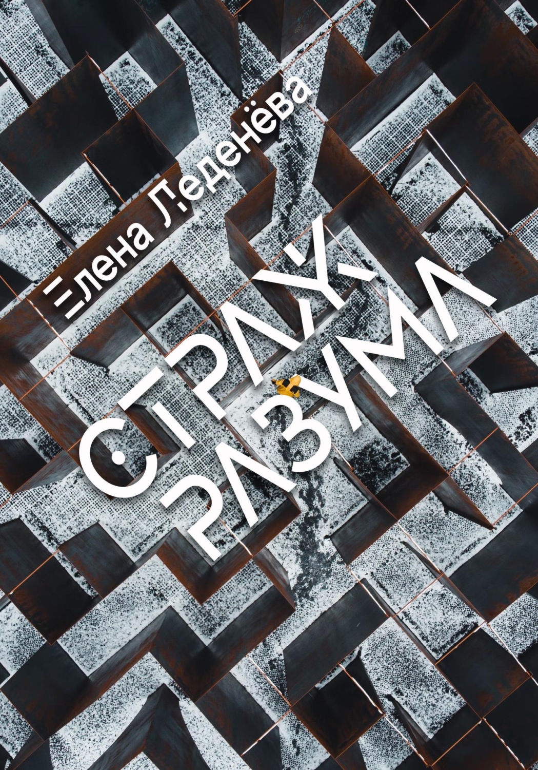 Обложка книги «Страж разума»