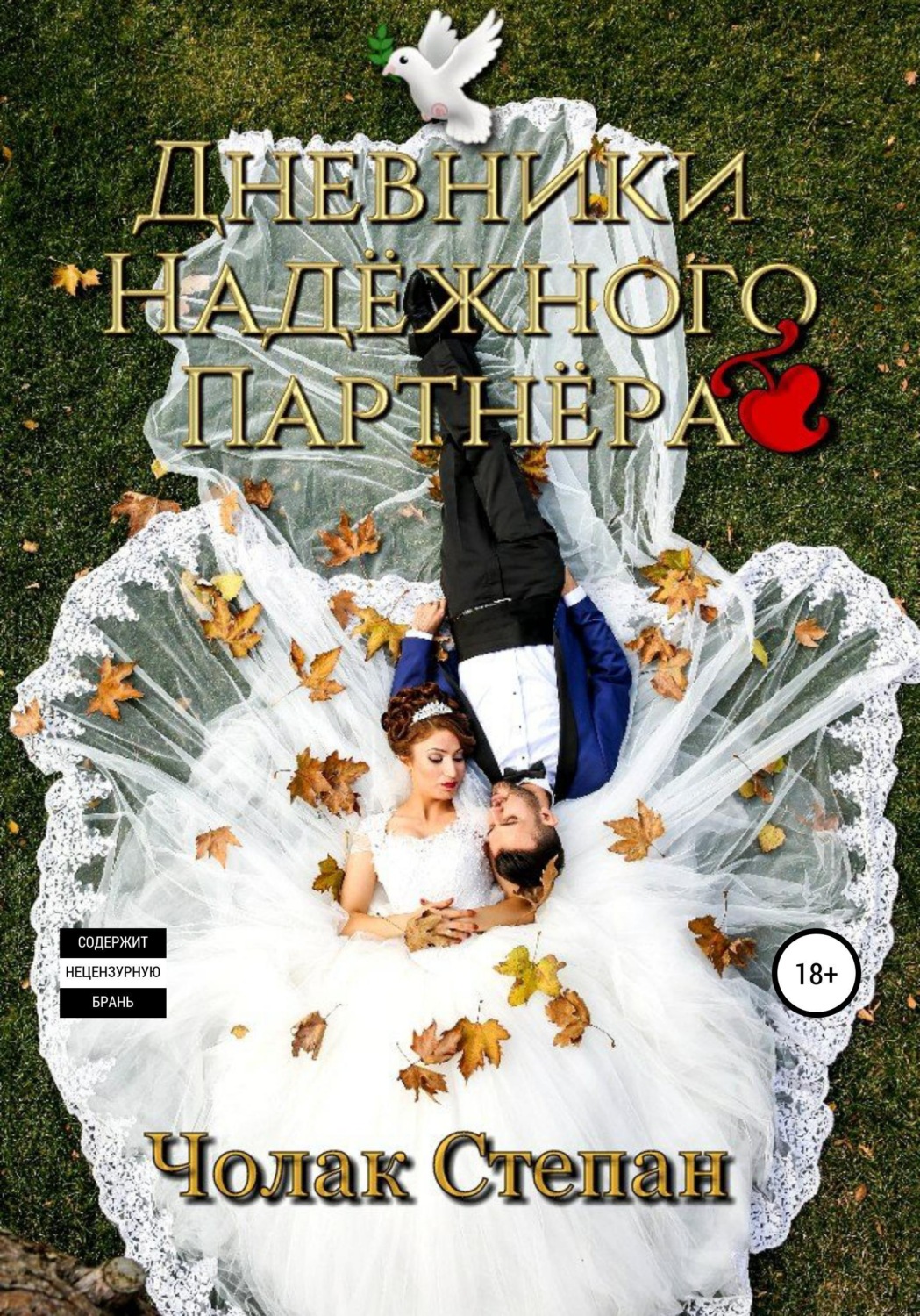 Обложка книги «Дневники Надёжного партнера»