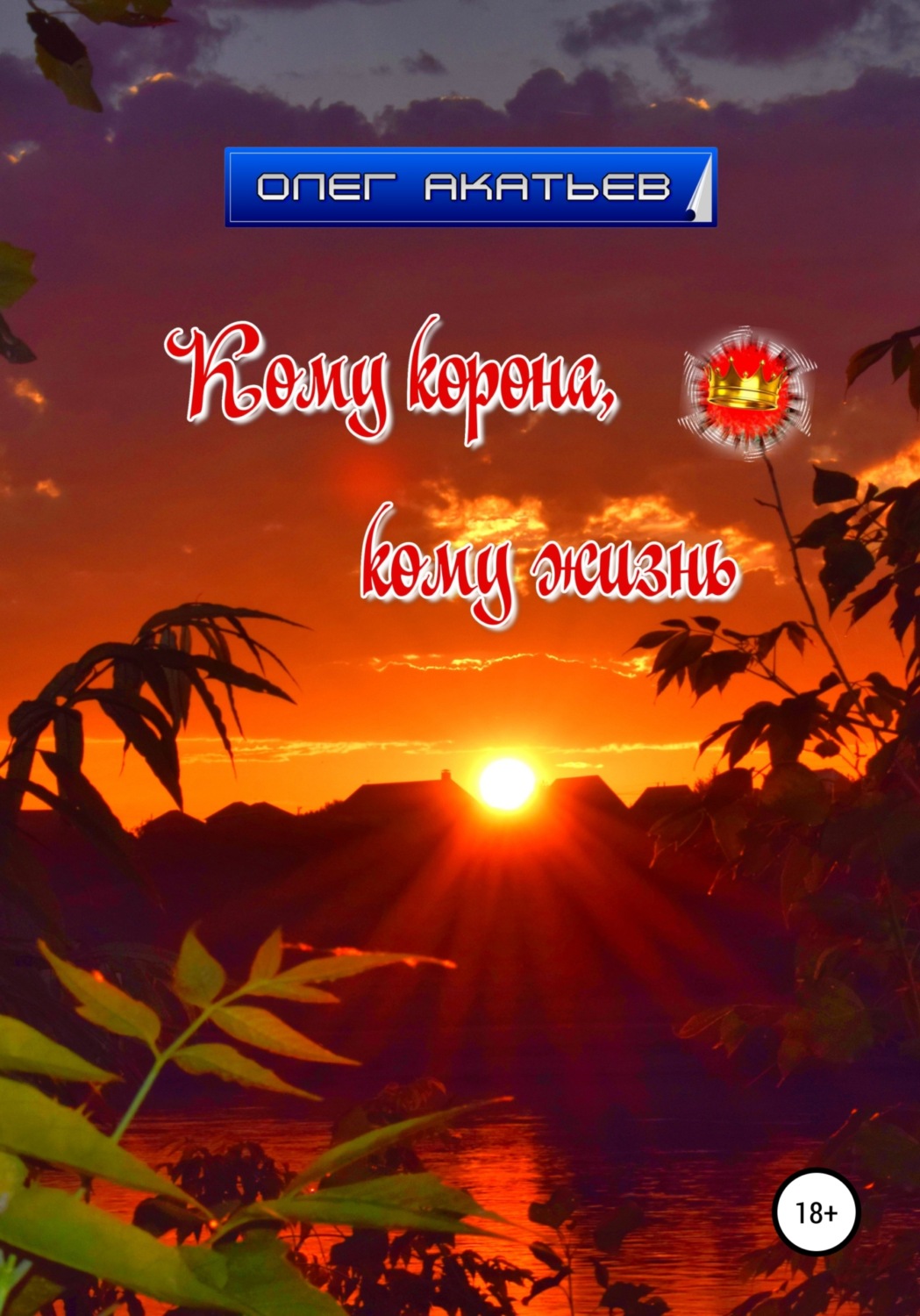 Обложка книги «Кому корона, кому жизнь»
