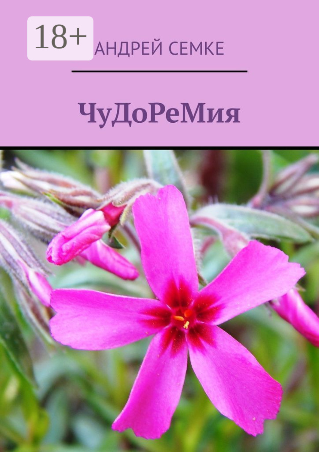 Обложка книги «ЧуДоРеМия»