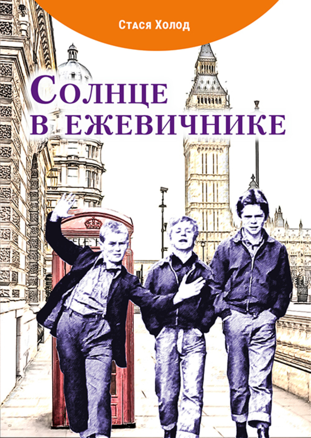 Обложка книги «Солнце в ежевичнике»