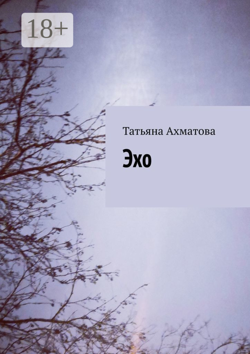 Обложка книги «Эхо»