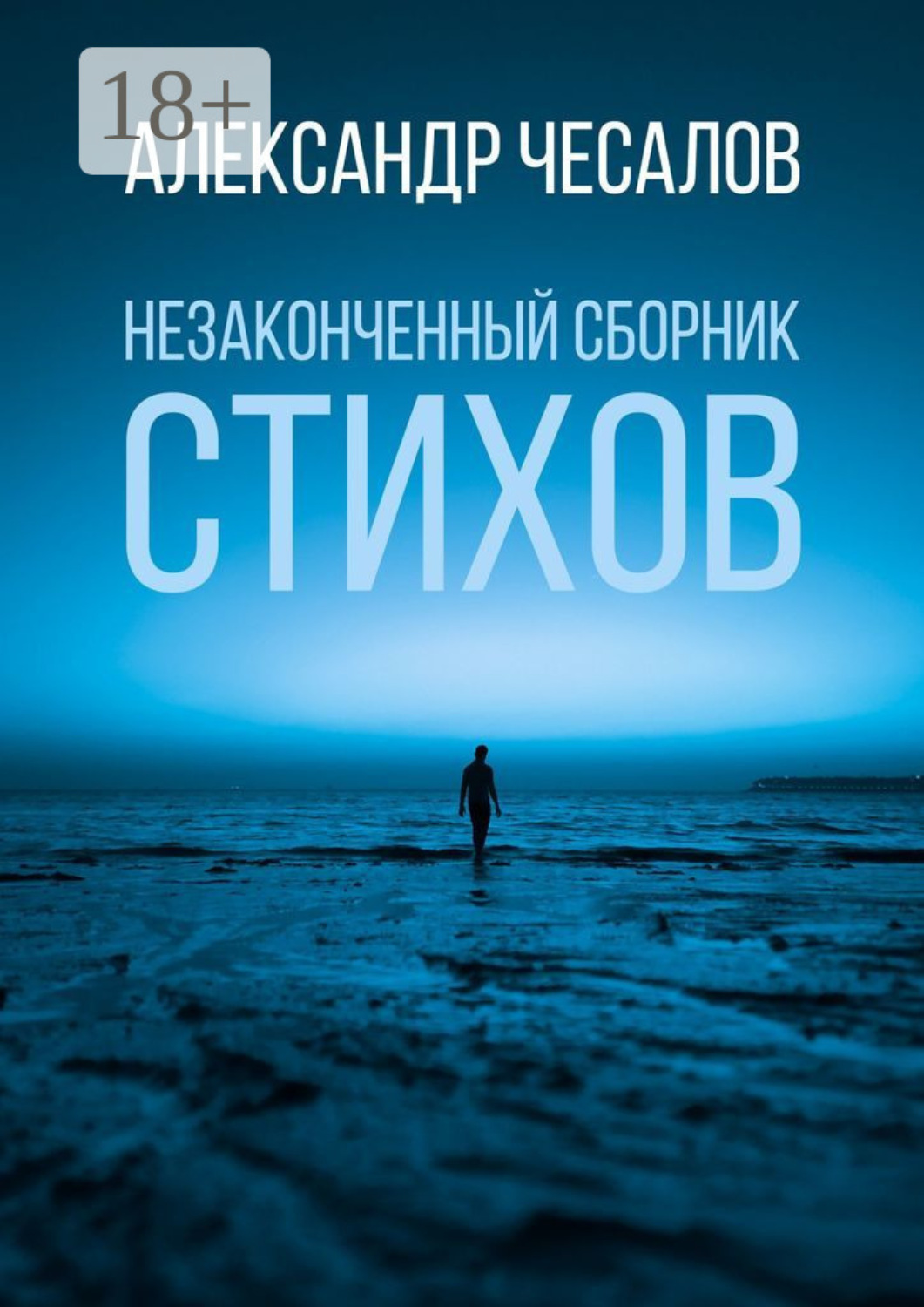 Обложка книги «Незаконченный сборник стихов»