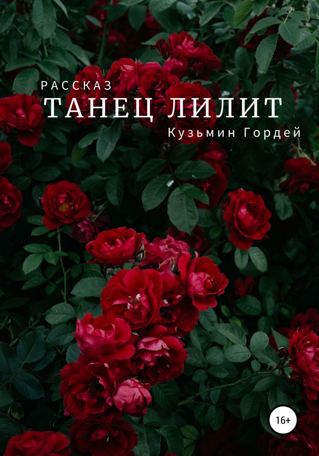 Обложка книги «Танец Лилит»