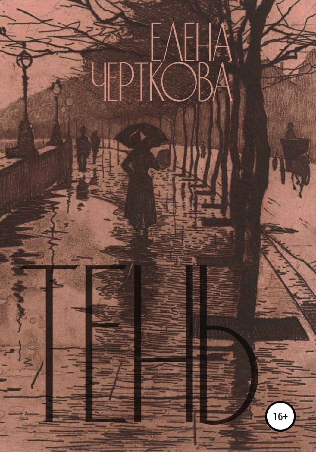 Обложка книги «Тень»