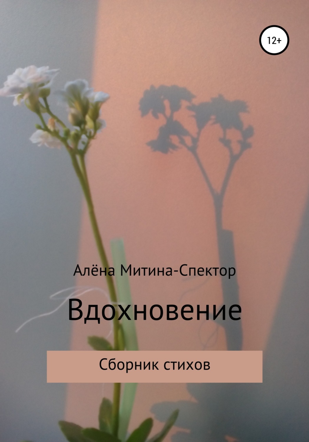Обложка книги «Вдохновение»