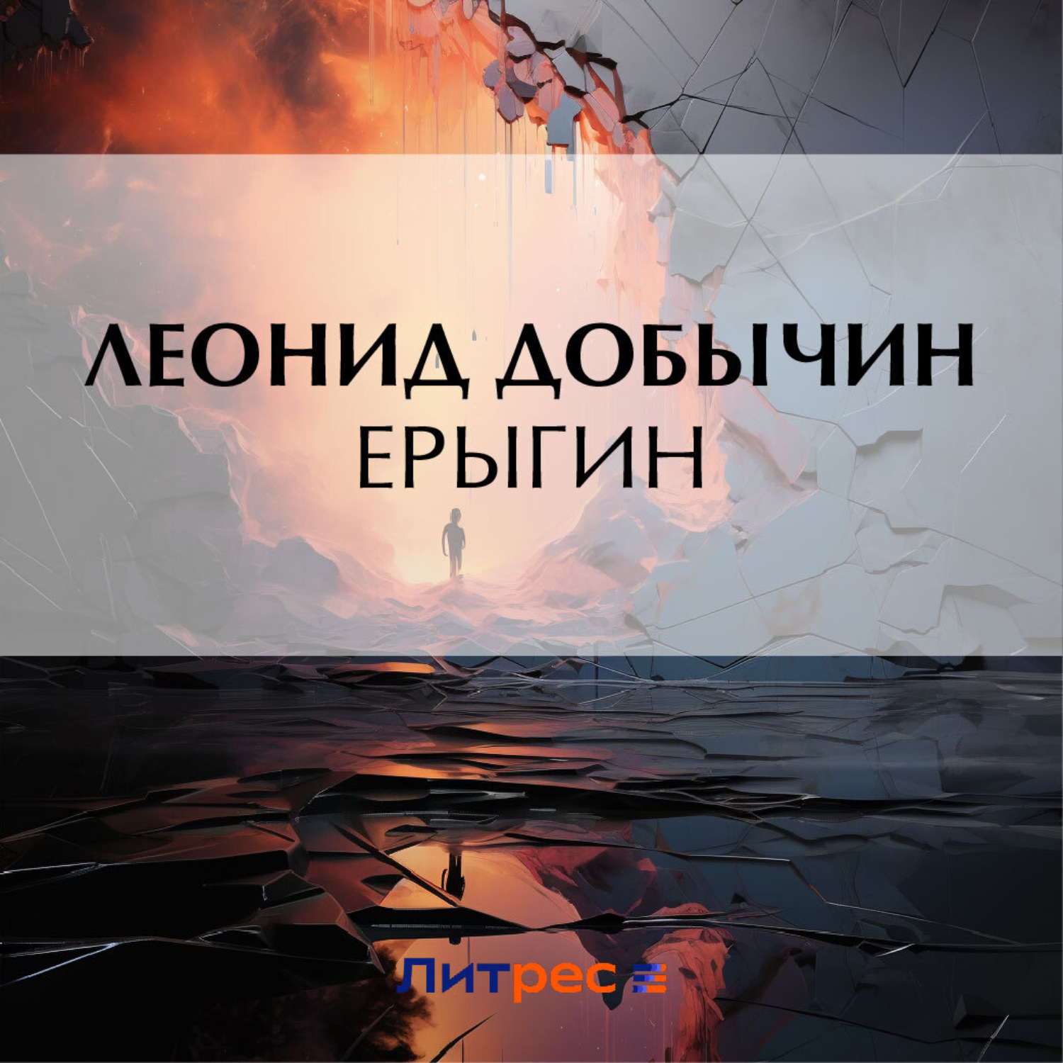 Обложка книги «Ерыгин»