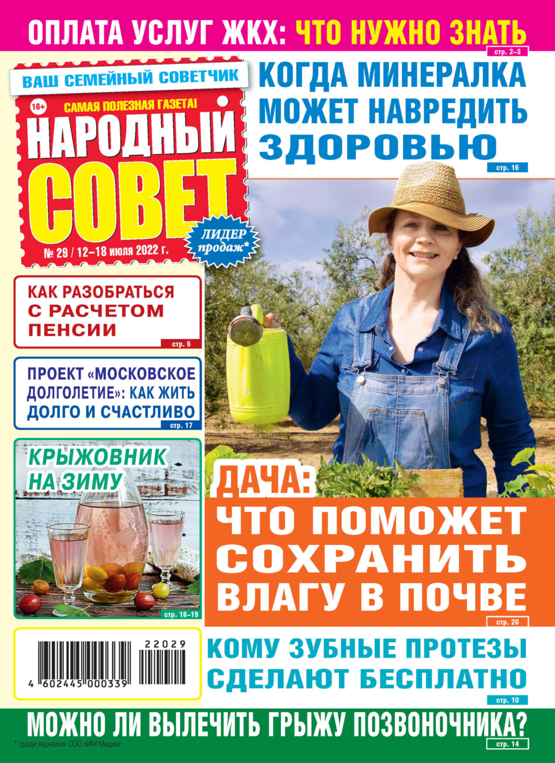 Обложка книги «Народный совет №29/2022»