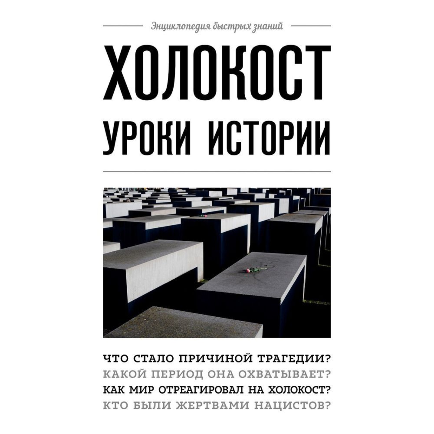 Обложка книги «Холокост. Уроки истории»