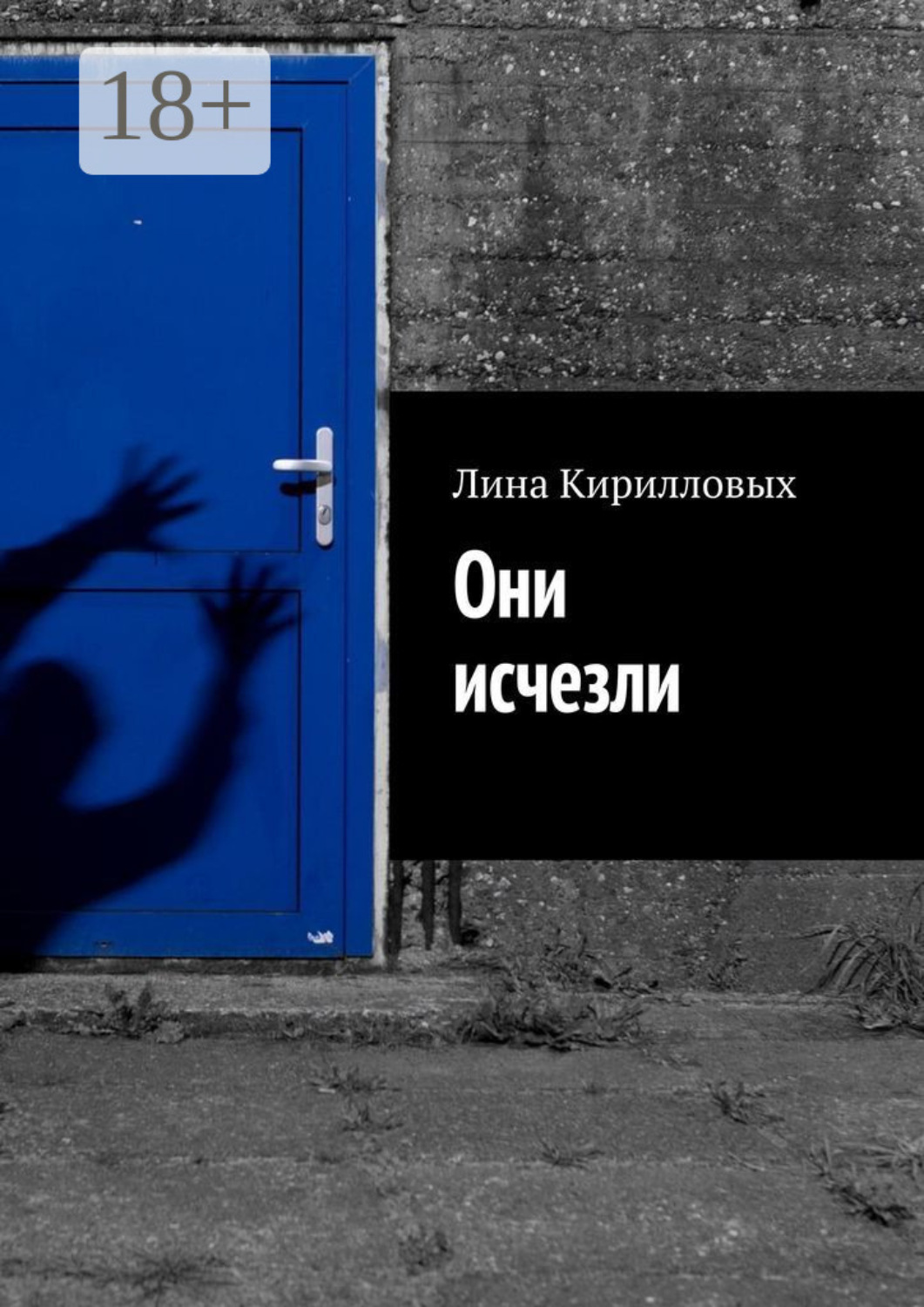 Обложка книги «Они исчезли»