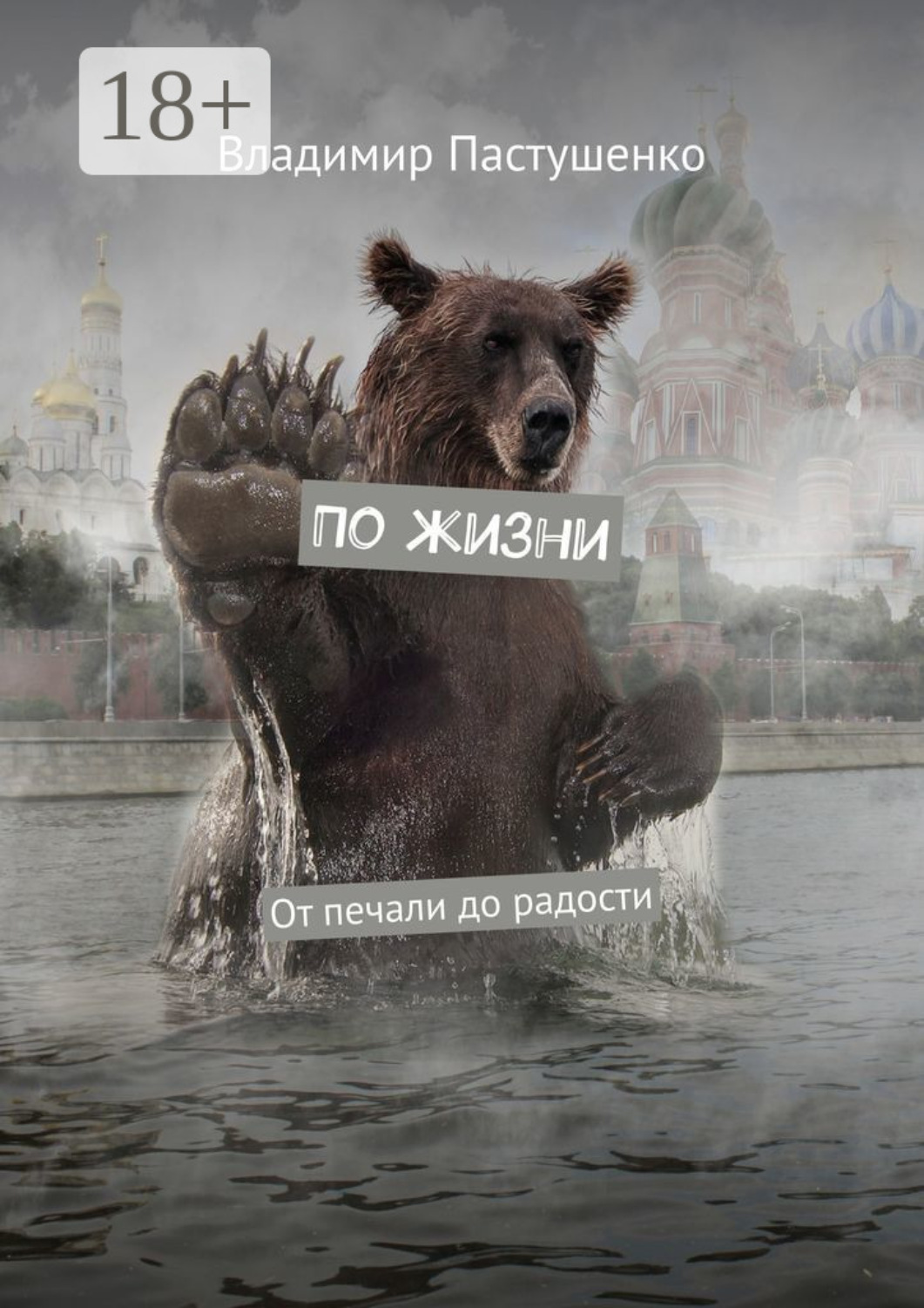 Обложка книги «По жизни. От печали до радости»