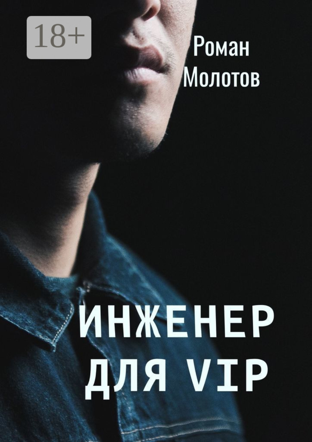 Обложка книги «Инженер для VIP»