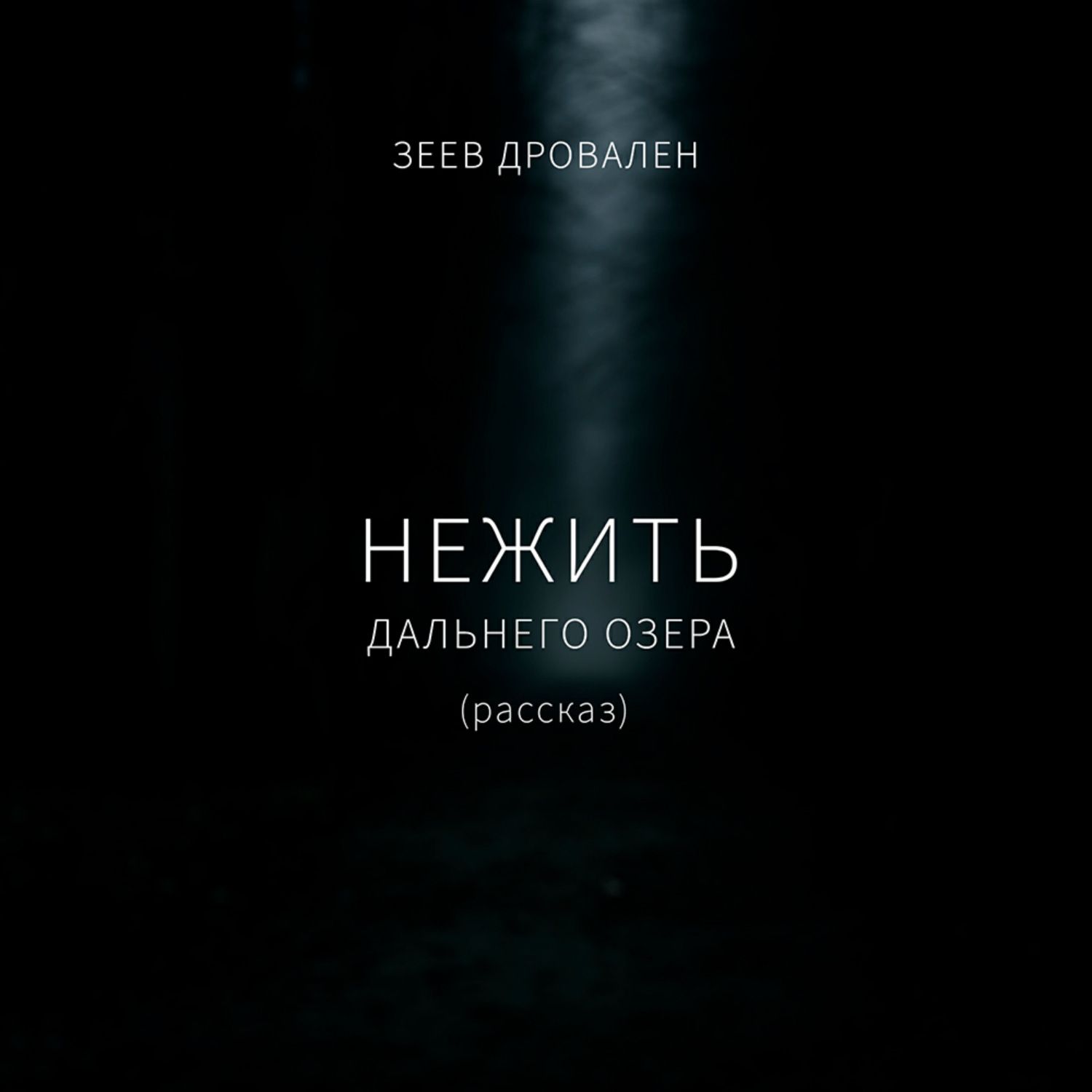 Обложка книги «Нежить Дальнего озера»