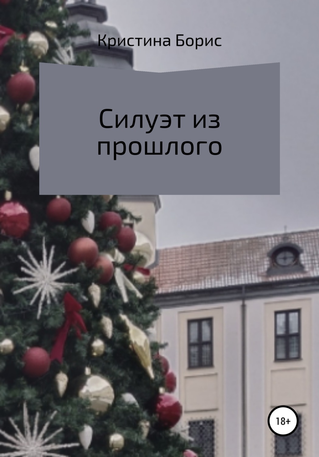 Обложка книги «Силуэт из прошлого»