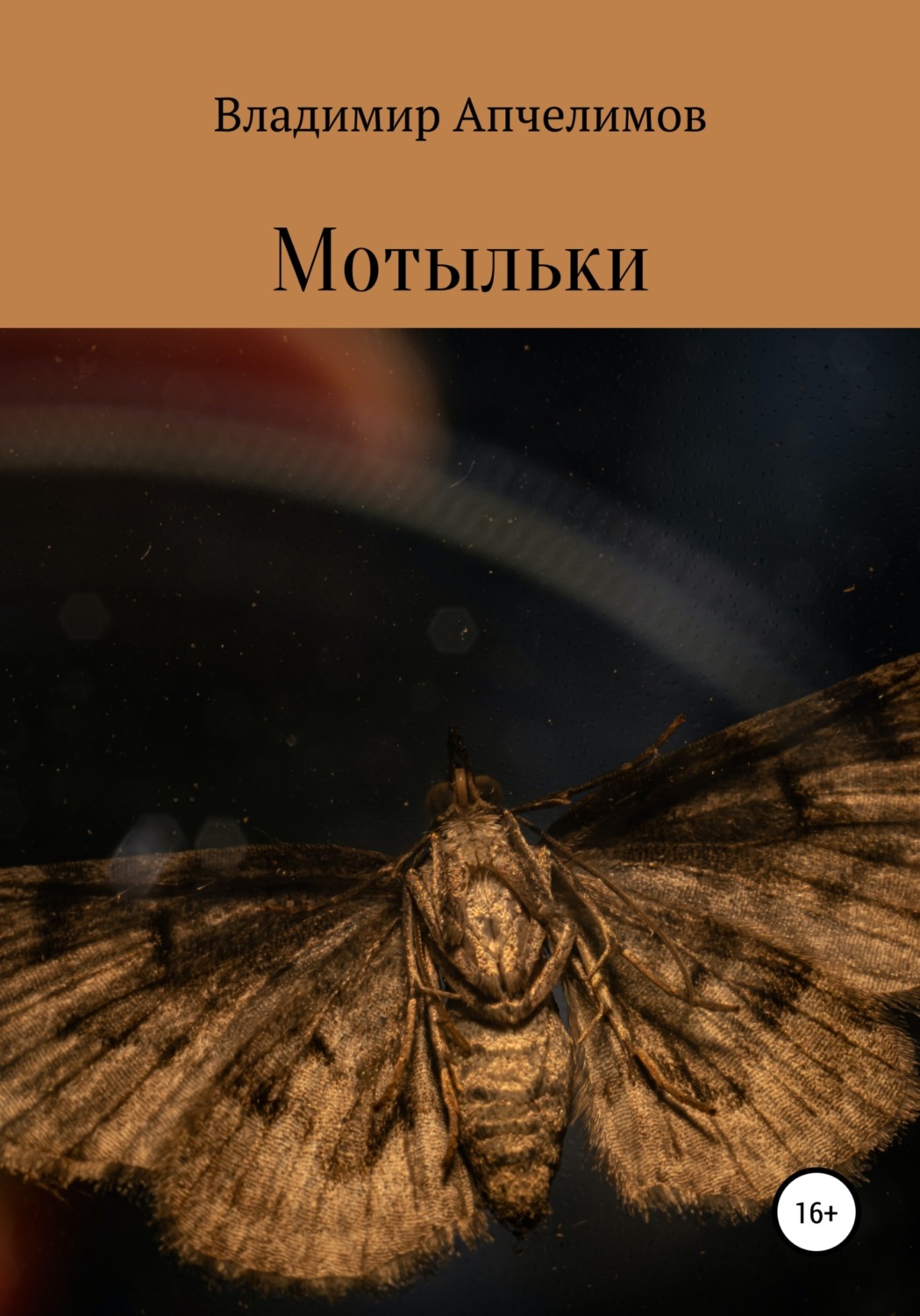 Обложка книги «Мотыльки»