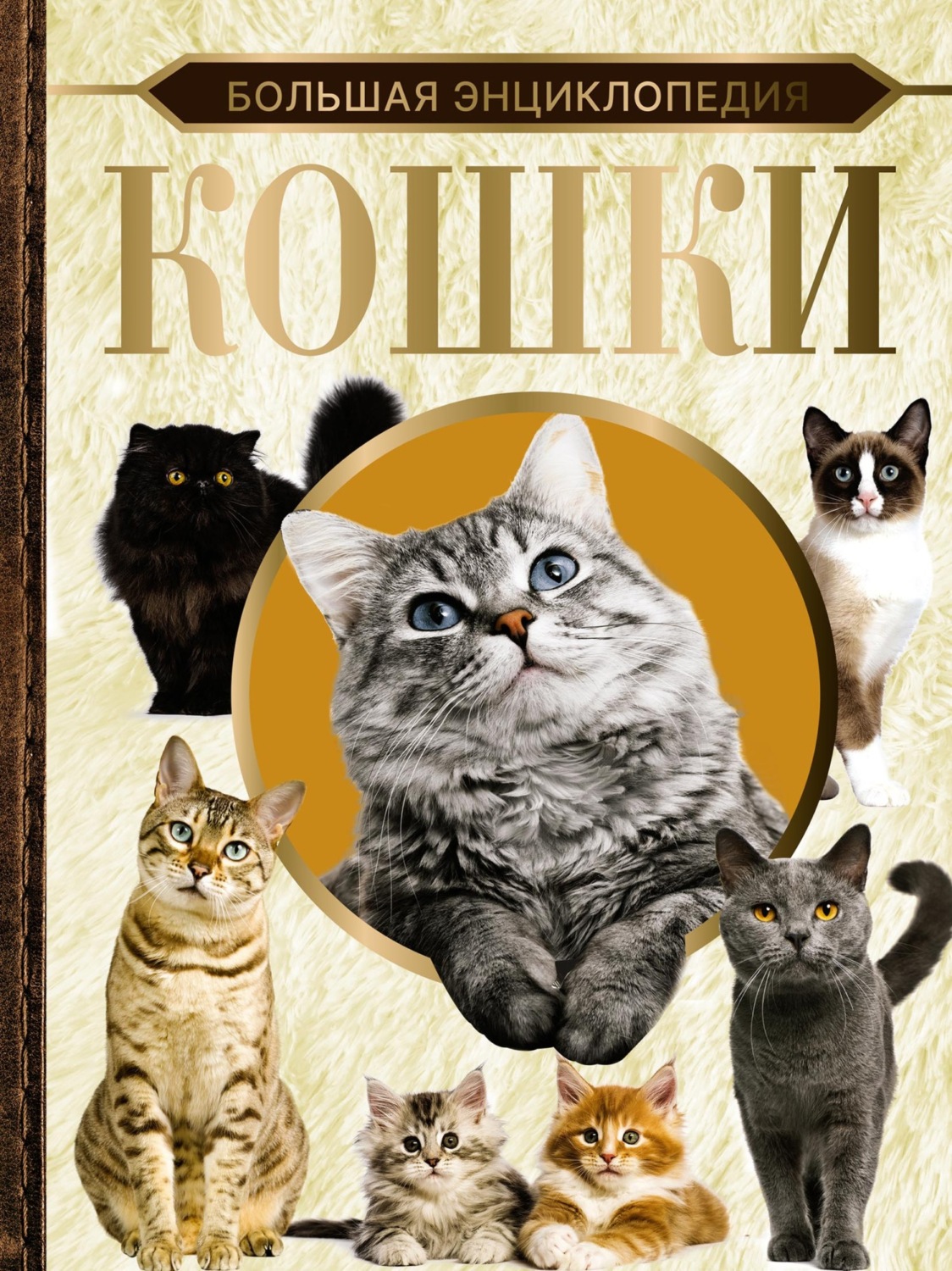 Обложка книги «Большая энциклопедия. Кошки»