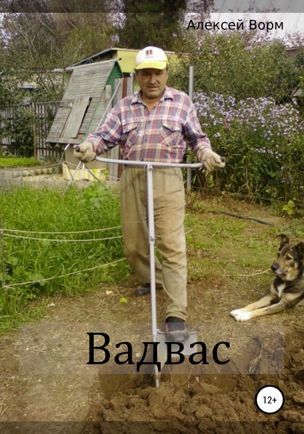 Обложка книги «Вадвас»